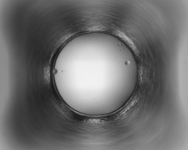 X0000093160298200710171215
