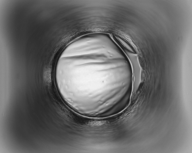 X0000093160299200710171215