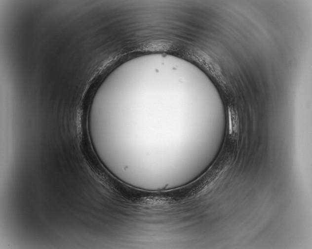 X0000093160300200710171215