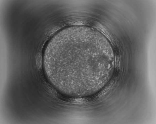 X0000093160301200710171215