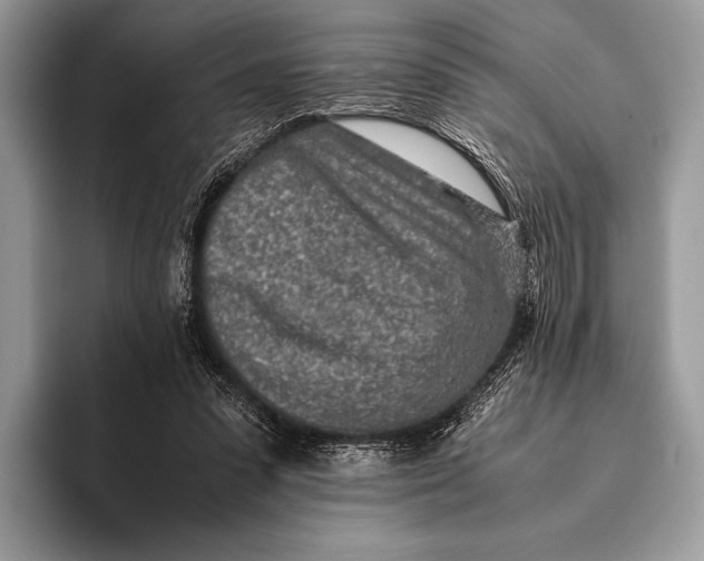 X0000093160303200710171214