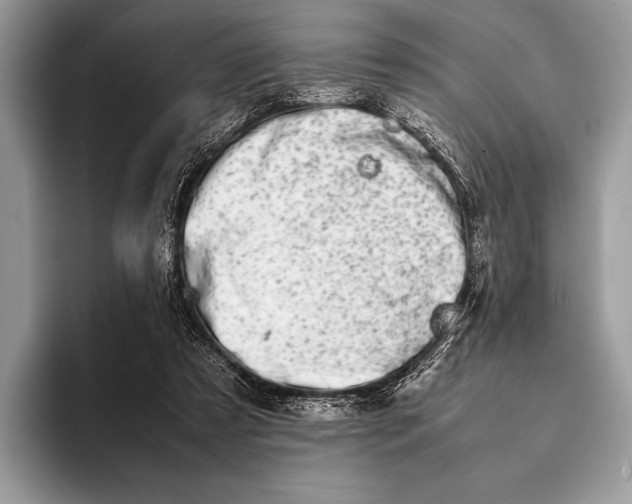 X0000093160305200710171214