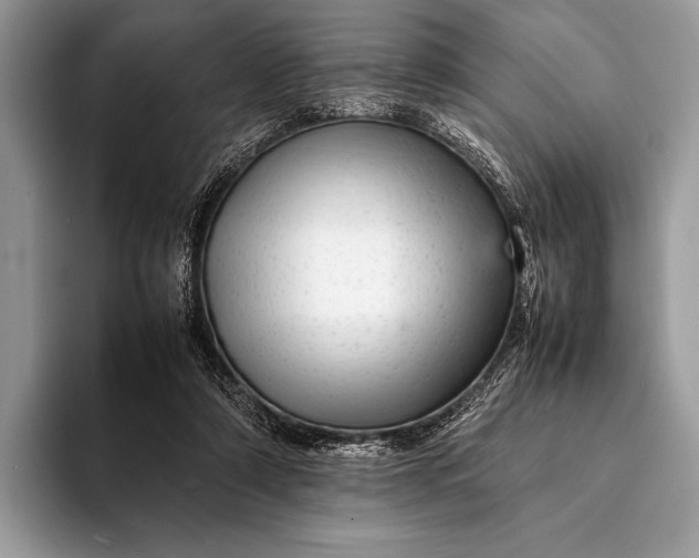X0000093160306200710171214