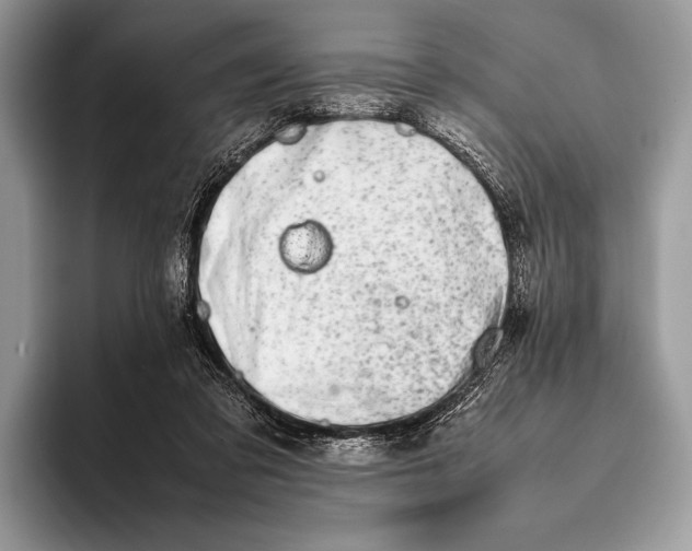 X0000093160309200710171214