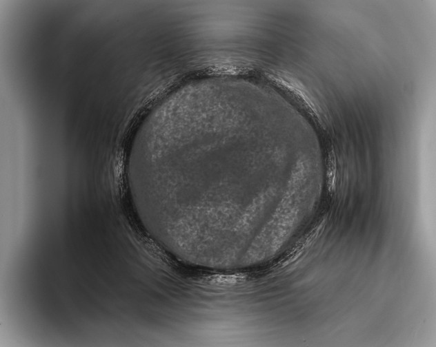 X0000093160314200710171214