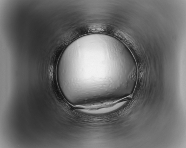 X0000093160315200710171214