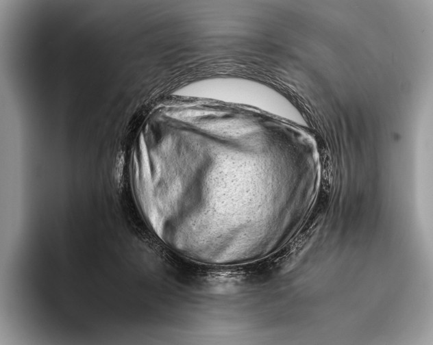 X0000093160319200710171214