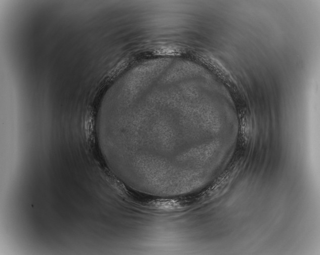 X0000093160322200710171214