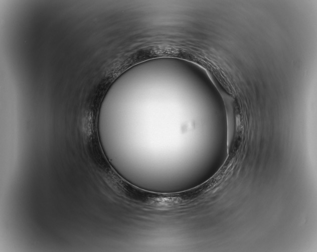 X0000093160323200710171214