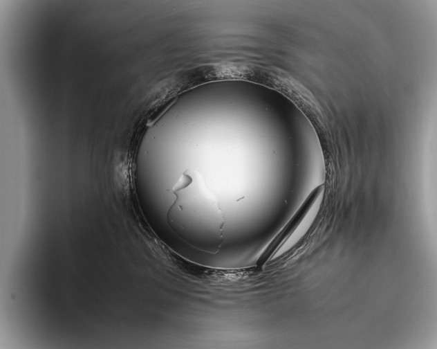 X0000093160329200710171214