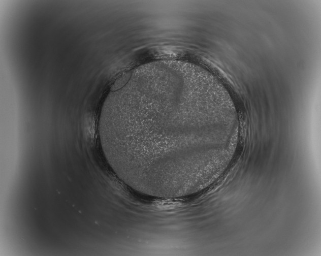 X0000093160331200710171214