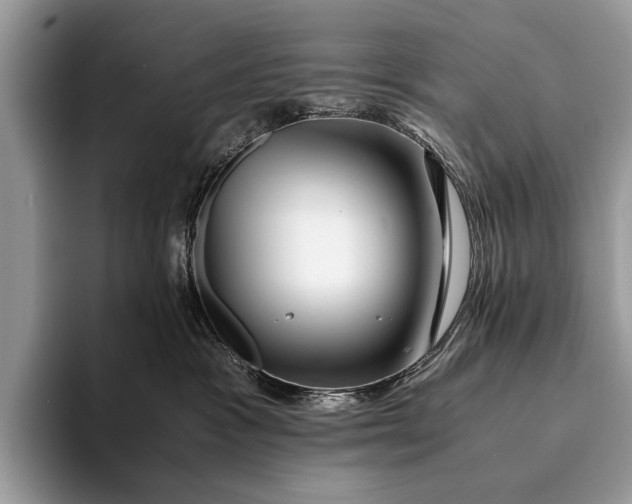 X0000093160333200710171214