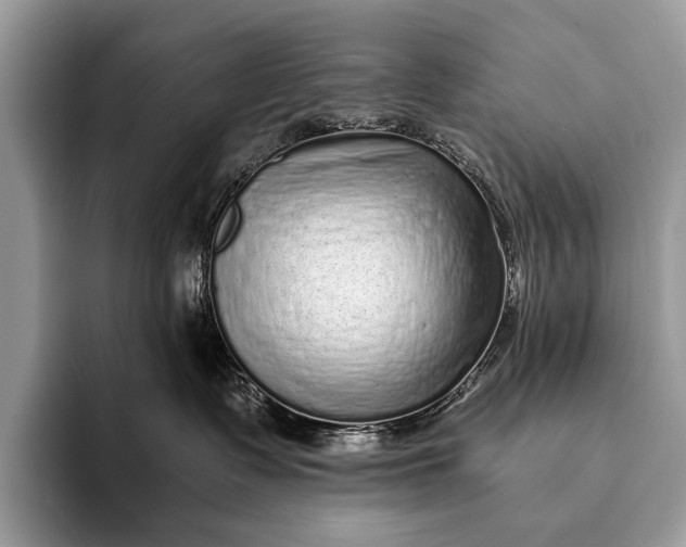 X0000093160335200710171214
