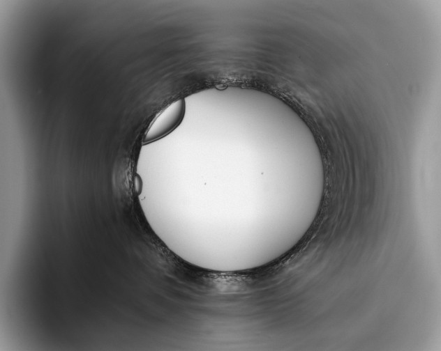 X0000093160336200710171214