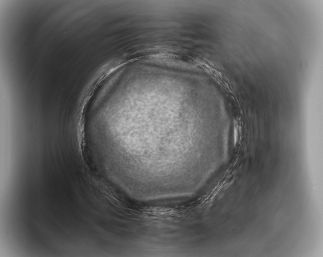 X0000093160339200710171214