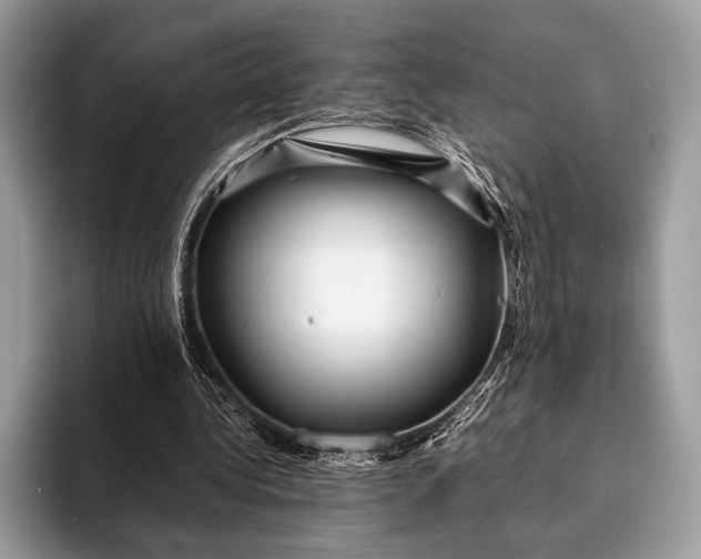 X0000093160340200710171214