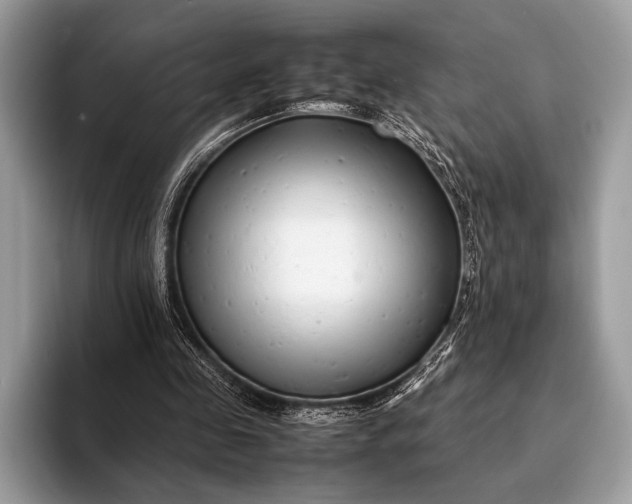X0000093160341200710171214