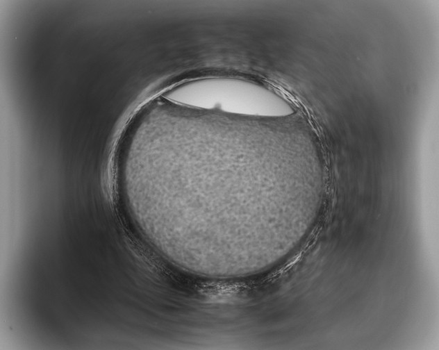 X0000093160343200710171214