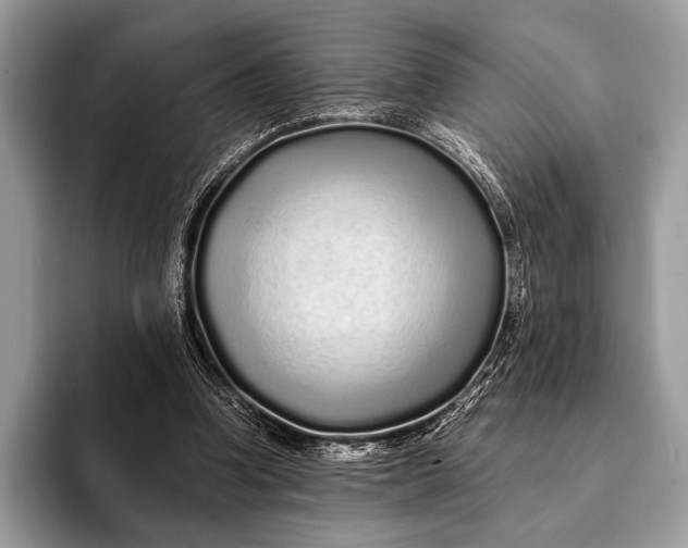 X0000093160346200710171214