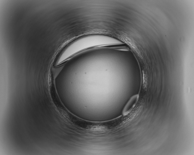 X0000093160348200710171214