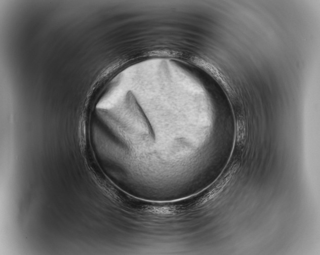 X0000093160349200710171214