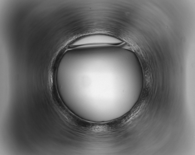 X0000093160350200710171214