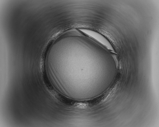 X0000093160352200710171214