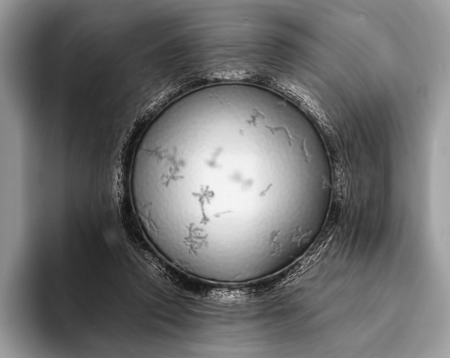 X0000093160354200710171214