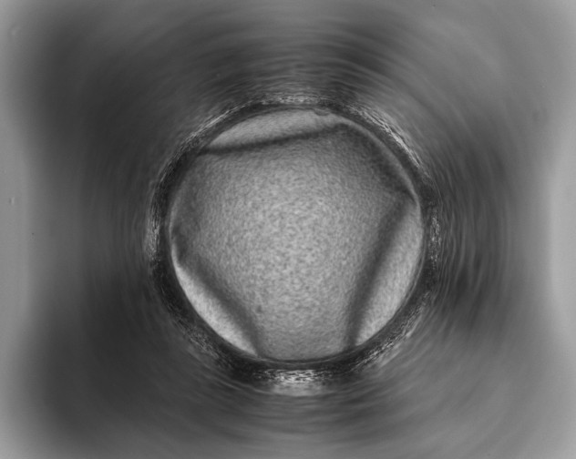 X0000093160355200710171214