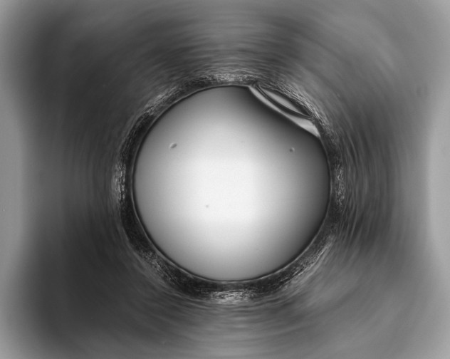 X0000093160356200710171214