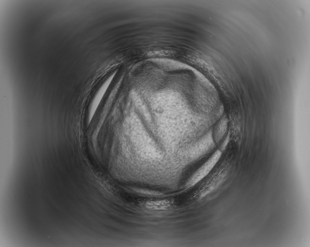 X0000093160357200710171214