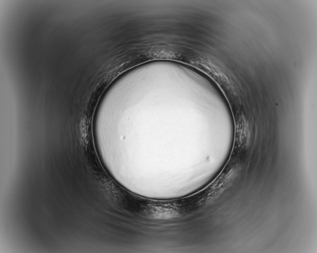 X0000093160359200710171214