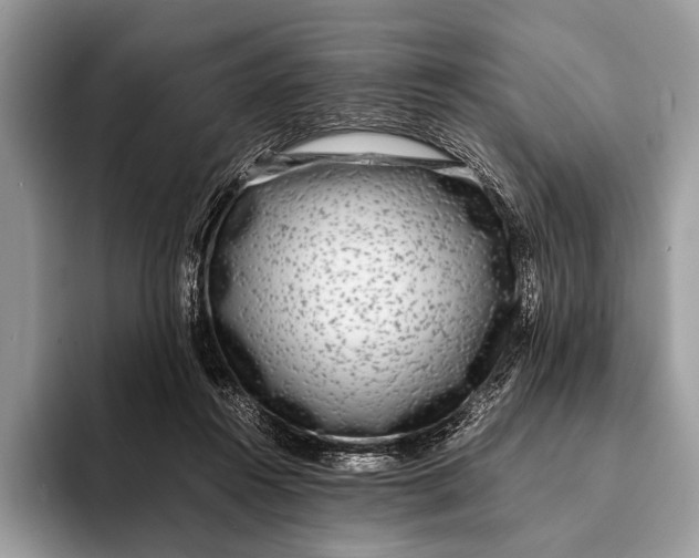 X0000093160360200710171214