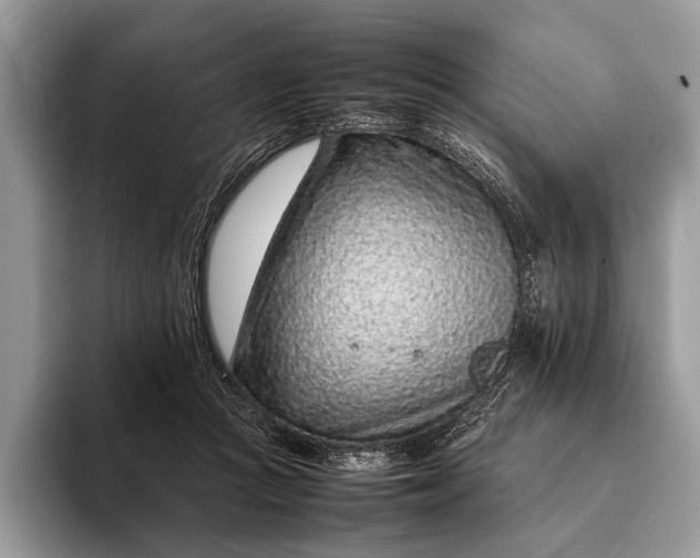 X0000093160361200710171214