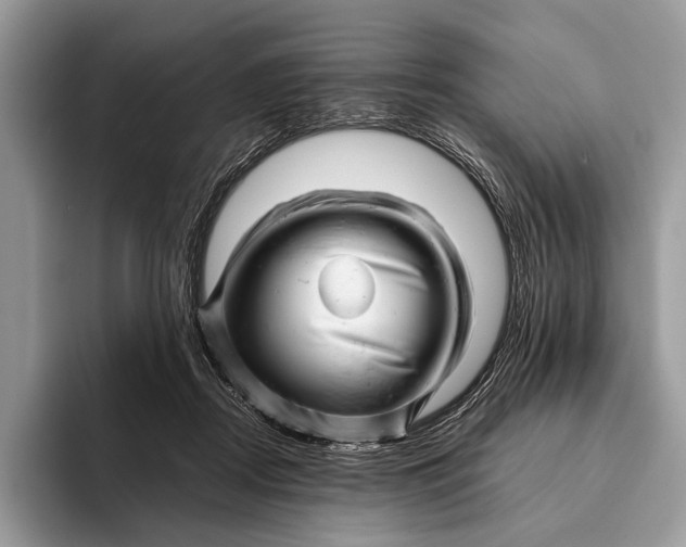 X0000093160362200710171214