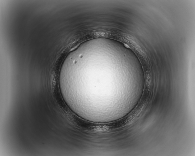 X0000093160363200710171214