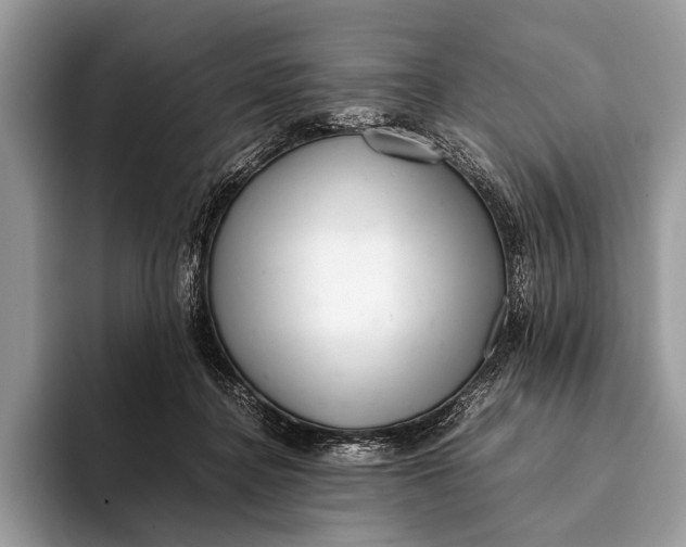 X0000093160364200710171214
