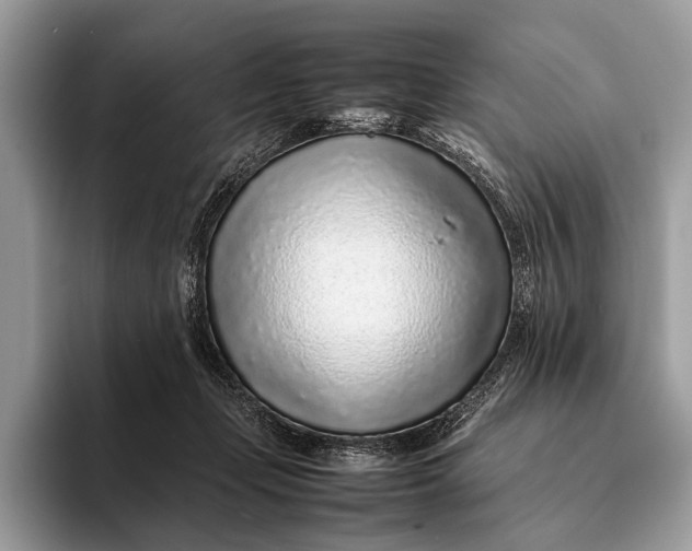 X0000093160365200710171214