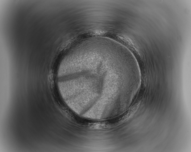 X0000093160366200710171214