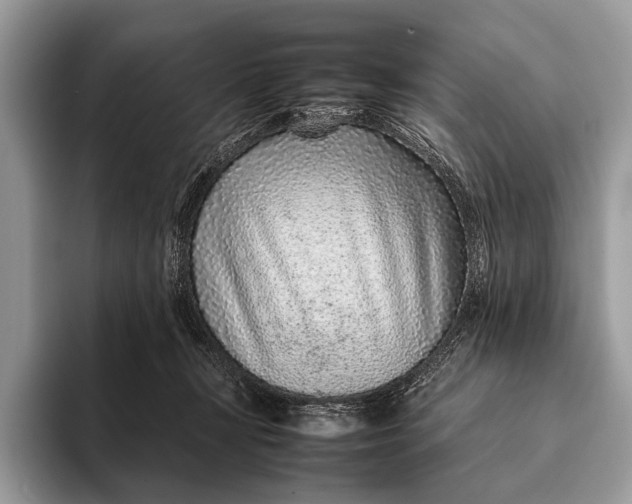 X0000093160367200710171214