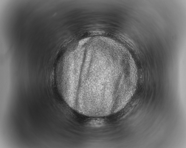 X0000093160369200710171214