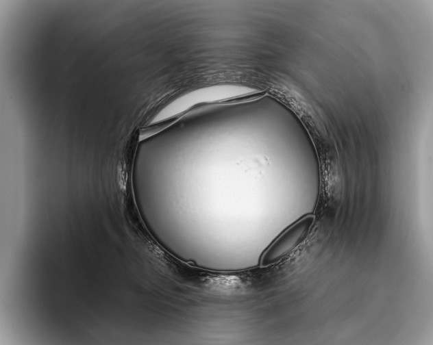 X0000093160374200710171214