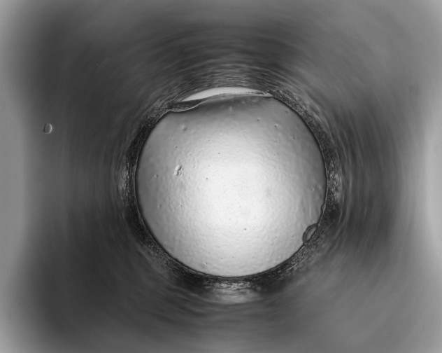 X0000093160375200710171214