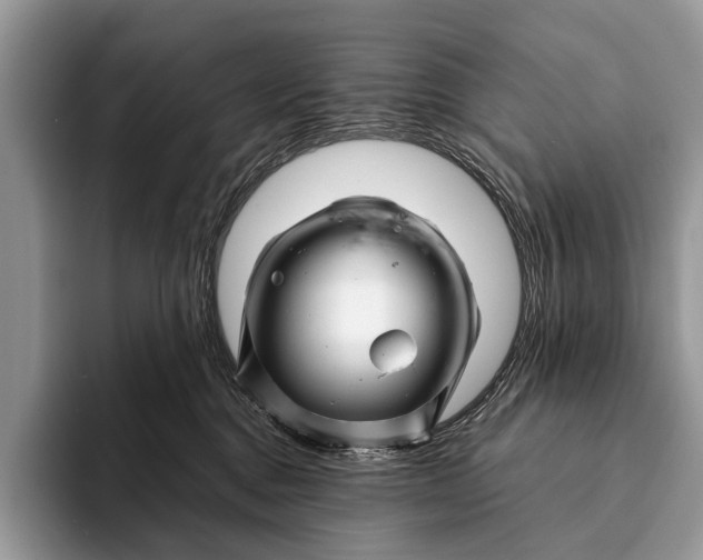 X0000093160376200710171214