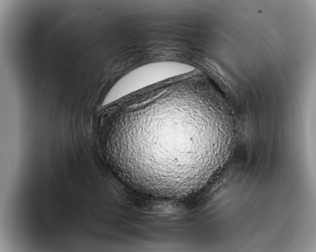 X0000093160377200710171214