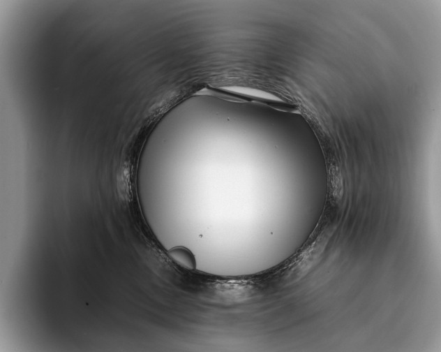X0000093160378200710171214