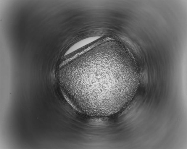 X0000093160381200710171214