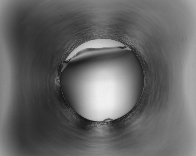 X0000093160384200710171214