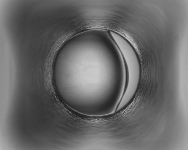 X0000093160385200710171214