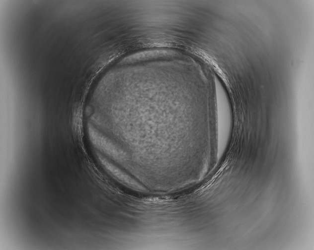 X0000093160386200710171214